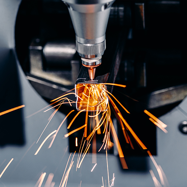 Welcome To Our Company !